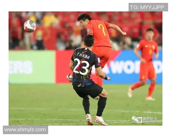 上海排球队配合问题引发热议球迷与专家各抒己见探讨战术调整