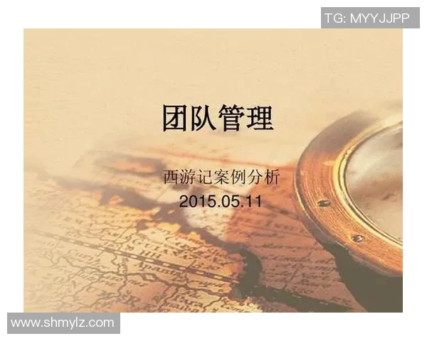 北京羽毛球队在冠军赛中的团队协作表现分析与启示