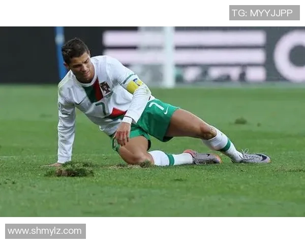 十位足球明星的传奇故事与辉煌成就揭秘，谁将成为你心中的球场英雄